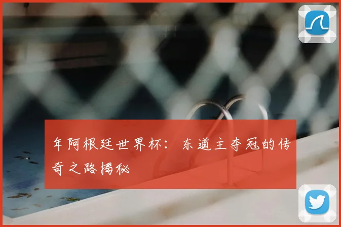 年阿根廷世界杯：东道主夺冠的传奇之路揭秘
