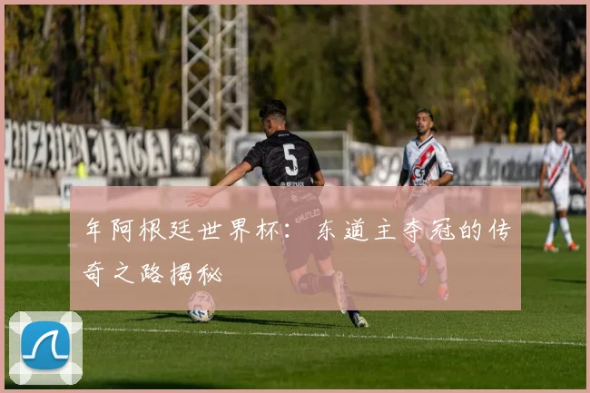 年阿根廷世界杯：东道主夺冠的传奇之路揭秘